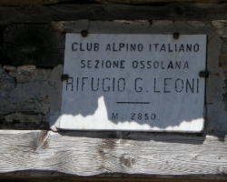 leoni
