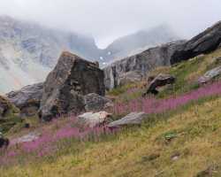 Arrivo all'Alpe Naga