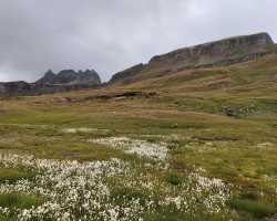 Arrivo al passo di Poiala