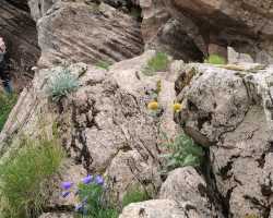vedere.....