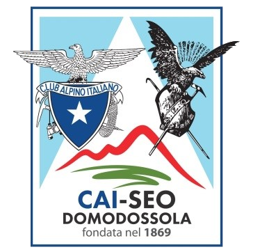 SEO CAI DOMO