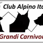 Il ritorno del Lupo in Ossola