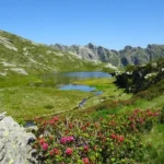 13/10/2024  LAGHI DI VARIOLA